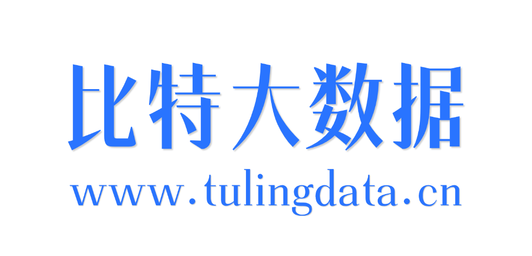比特大数据